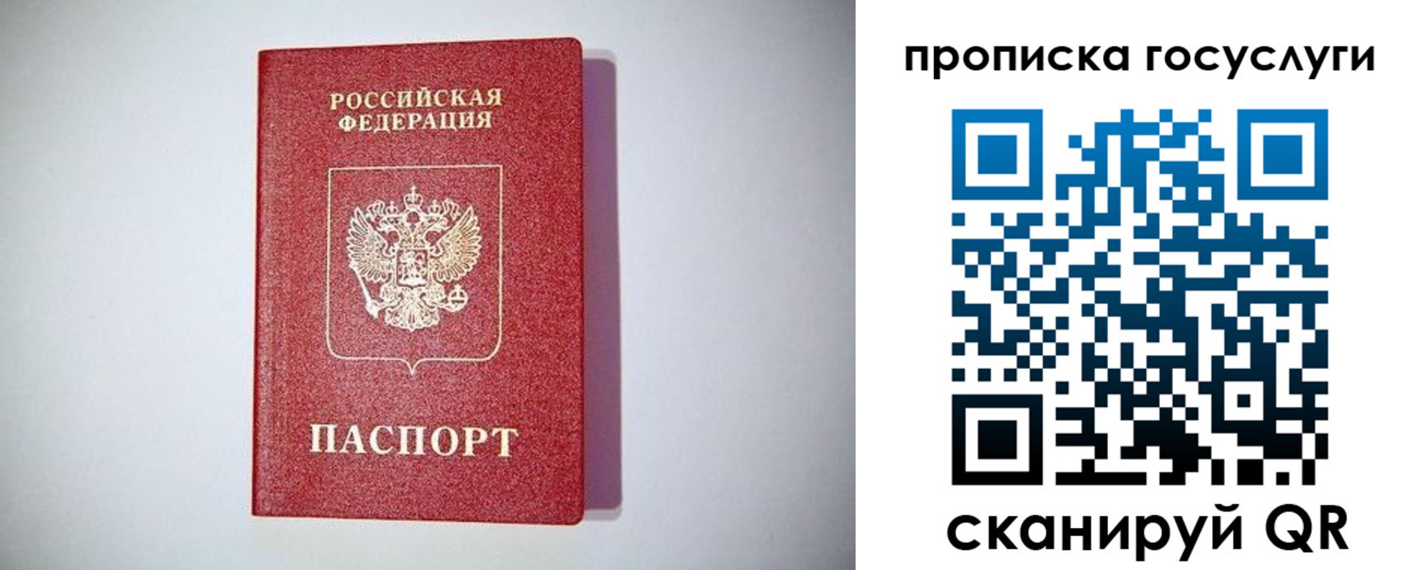 временная регистрация госуслуги в Ростове